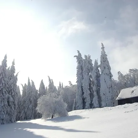 Und Berggasthof Spiessberghaus Am Rennsteig