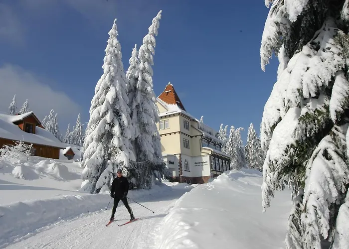 Und Berggasthof Spiessberghaus Am Rennsteig 2* フリードリッヒローダ