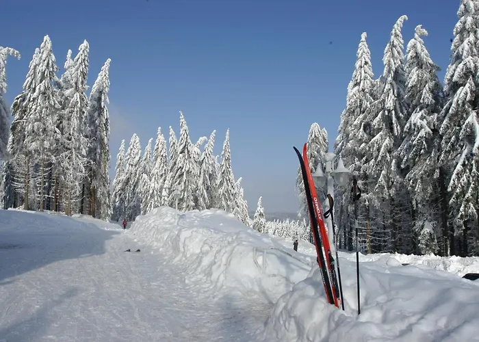 ホテル Und Berggasthof Spiessberghaus Am Rennsteig