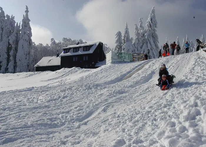 ホテル Und Berggasthof Spiessberghaus Am Rennsteig 2*
